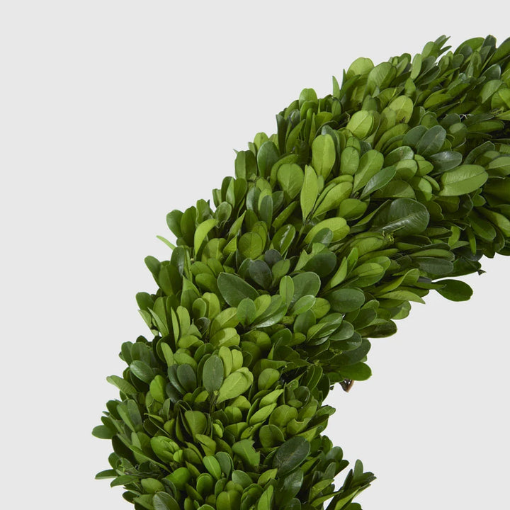Preserved Boxwwod 35cm Wreath