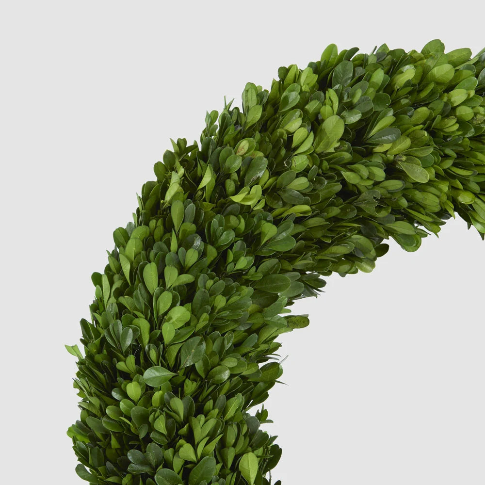 Preserved Boxwwod 45cm Wreath
