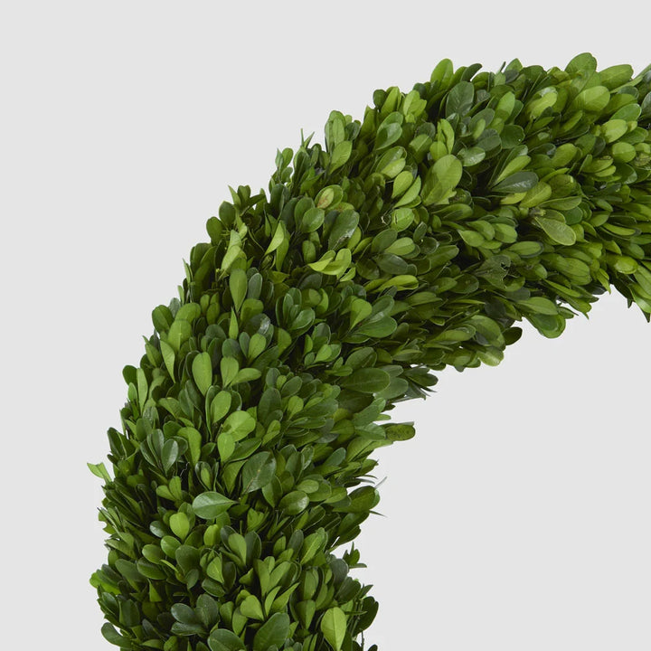 Preserved Boxwwod 45cm Wreath