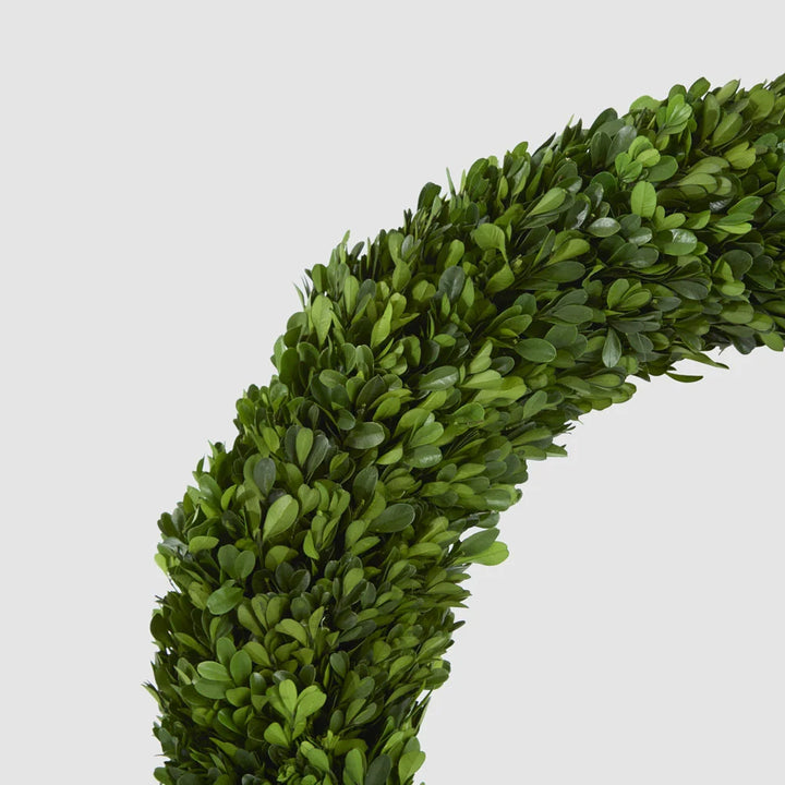 Preserved Boxwwod 60cm Wreath