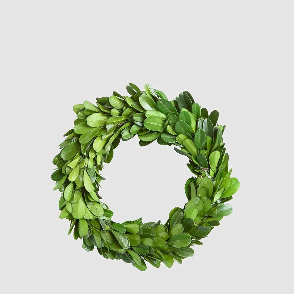 Preserved Boxwood Mini Wreath 13cm
