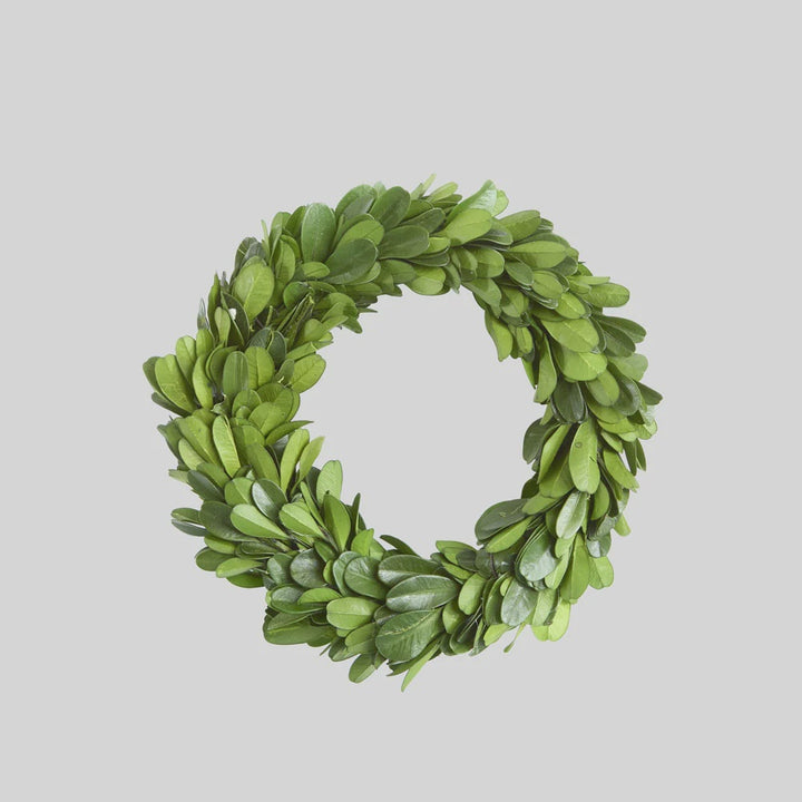 Preserved Boxwood Mini Wreath 13cm