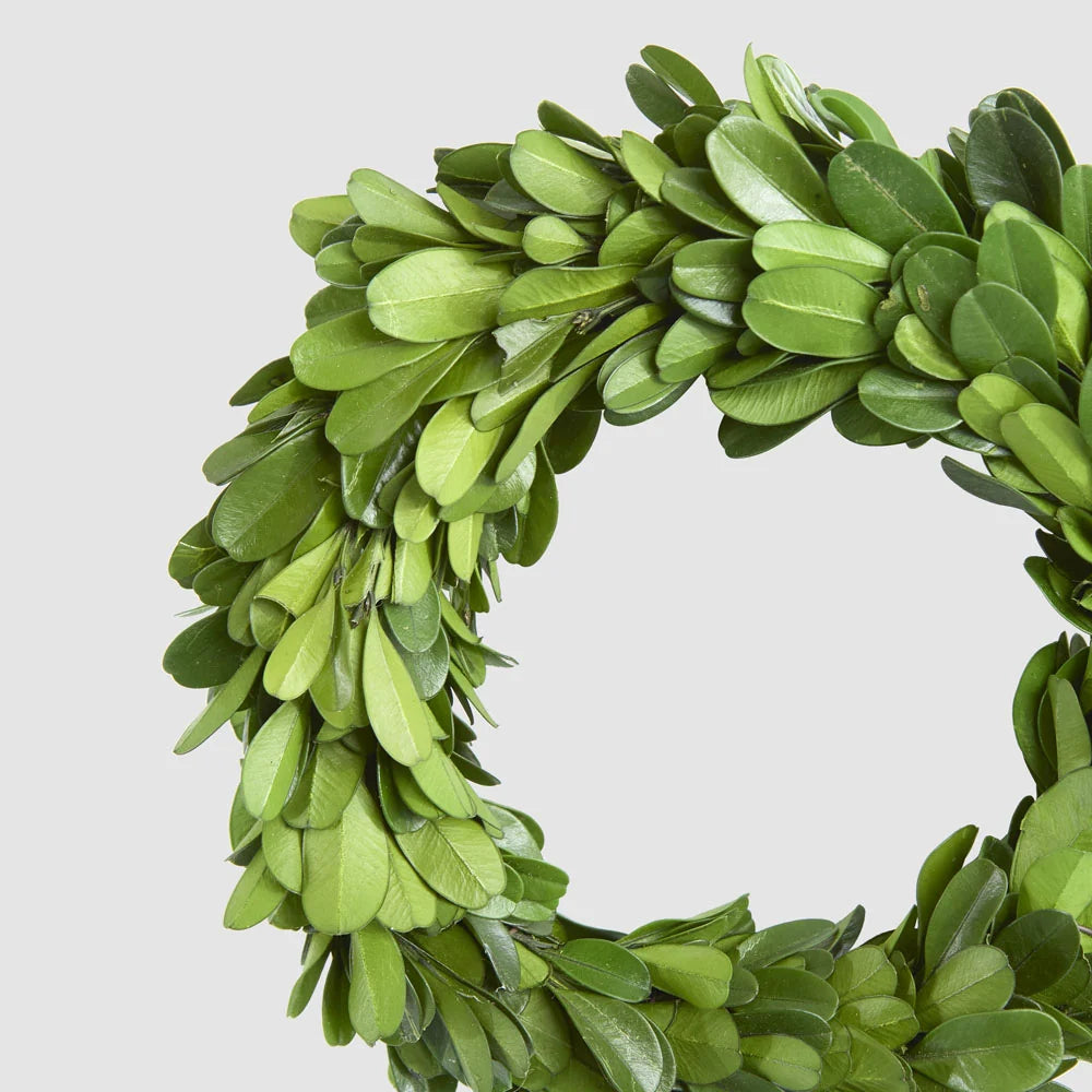 Preserved Boxwood Mini Wreath 13cm