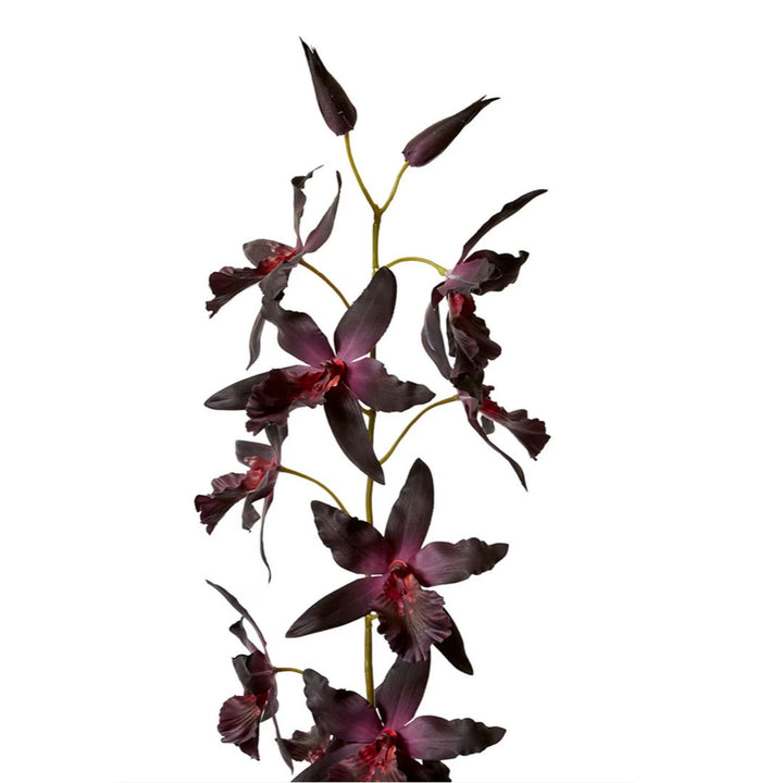 Oncidium Orchid Stem | Green/Burgundy
