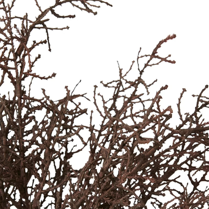 Faux Santolina Brown Bush | 40cm