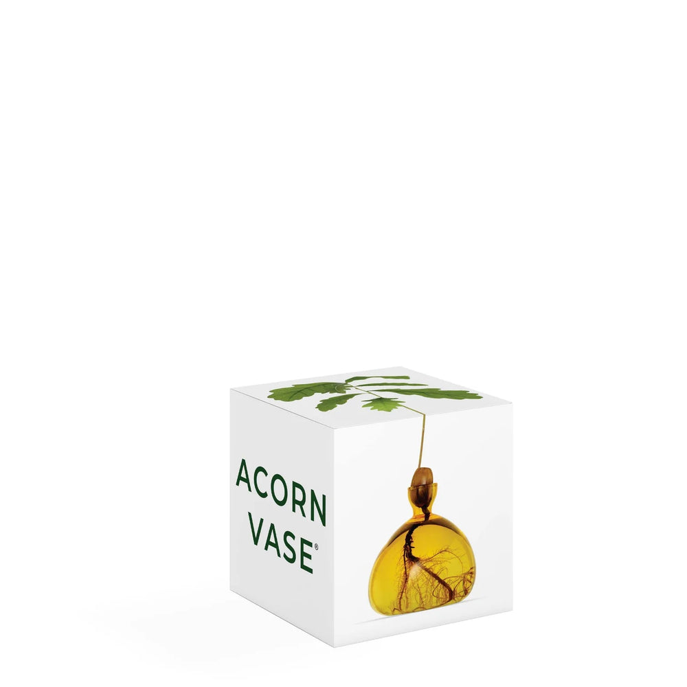 Acorn Propogation Vase | Coloured Mellow Yellow (Acorn not included) - Suzie Anderson Home