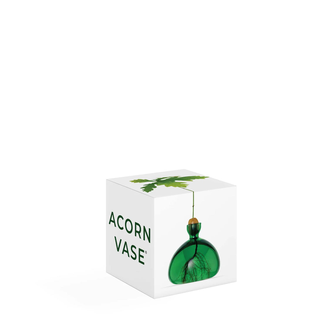 Acorn Propogation Vase | Coloured Emerald Green (Acorn not included)