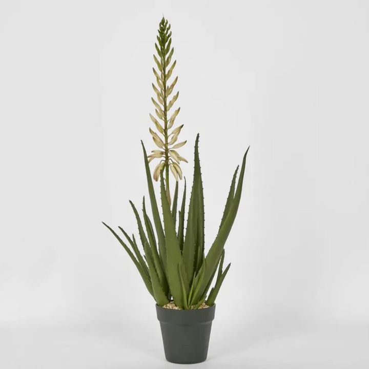 Faux Aloe Flower | Potted | 75cmH