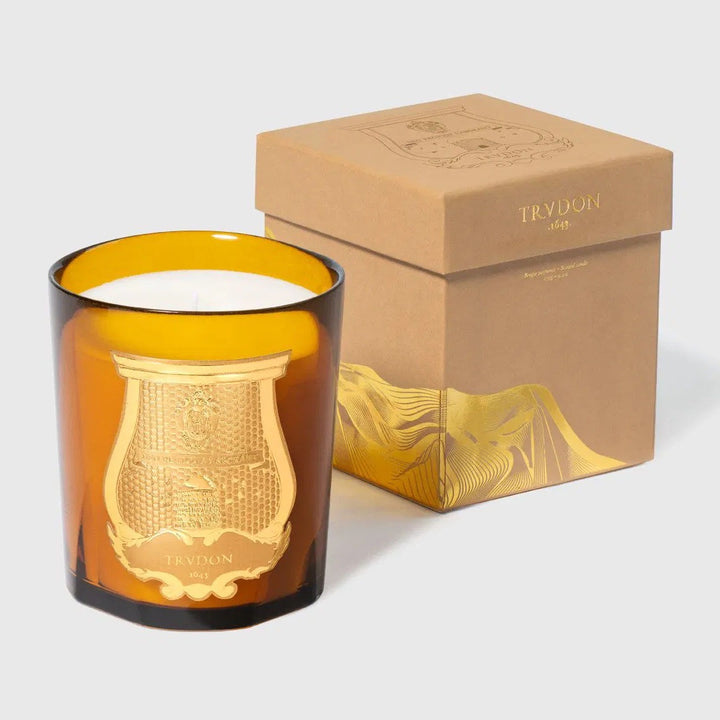 Trudon | Altair Candle 270g