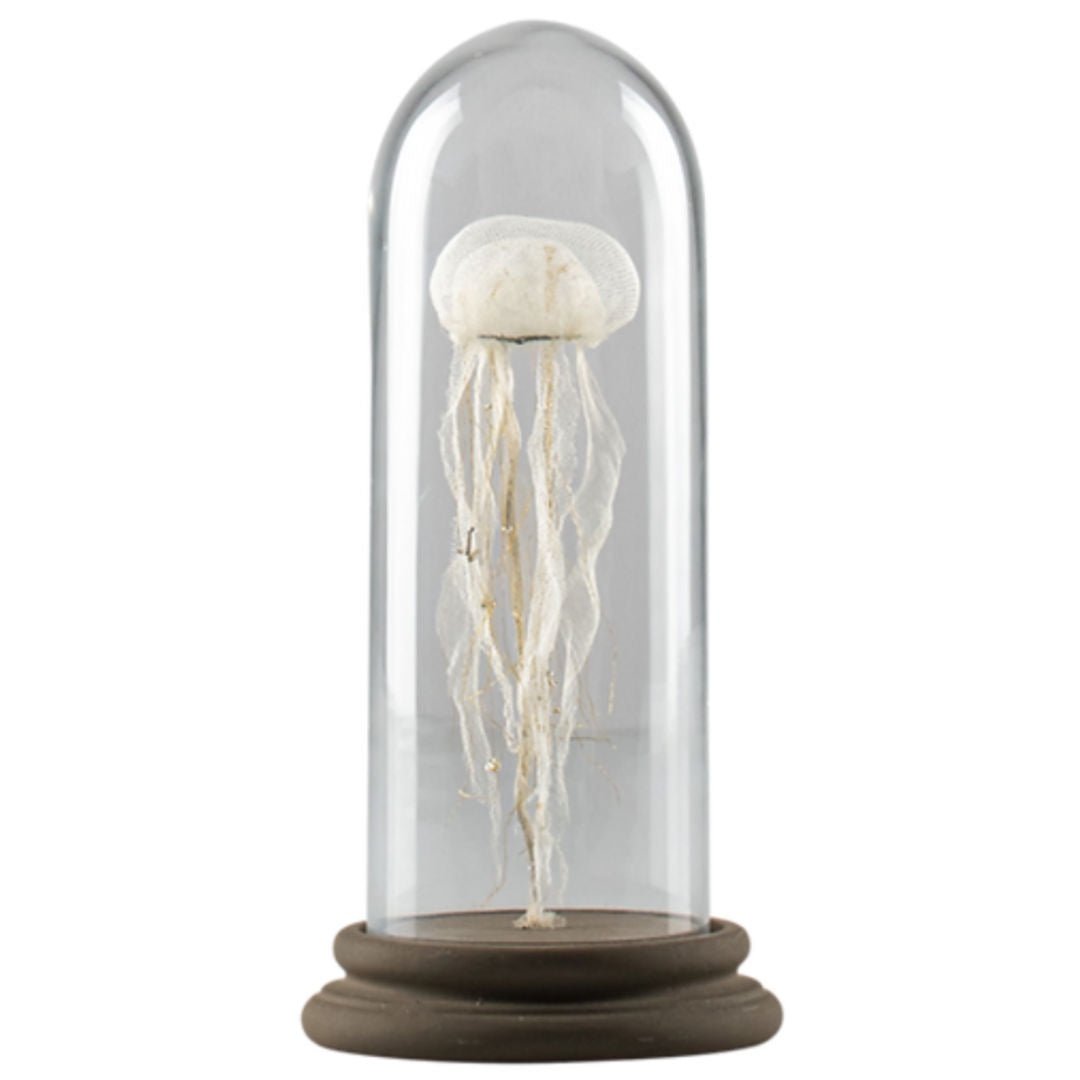 Baby Jellyfish Sculpture in Tube Glass | Made in Avignon - Suzie Anderson Home