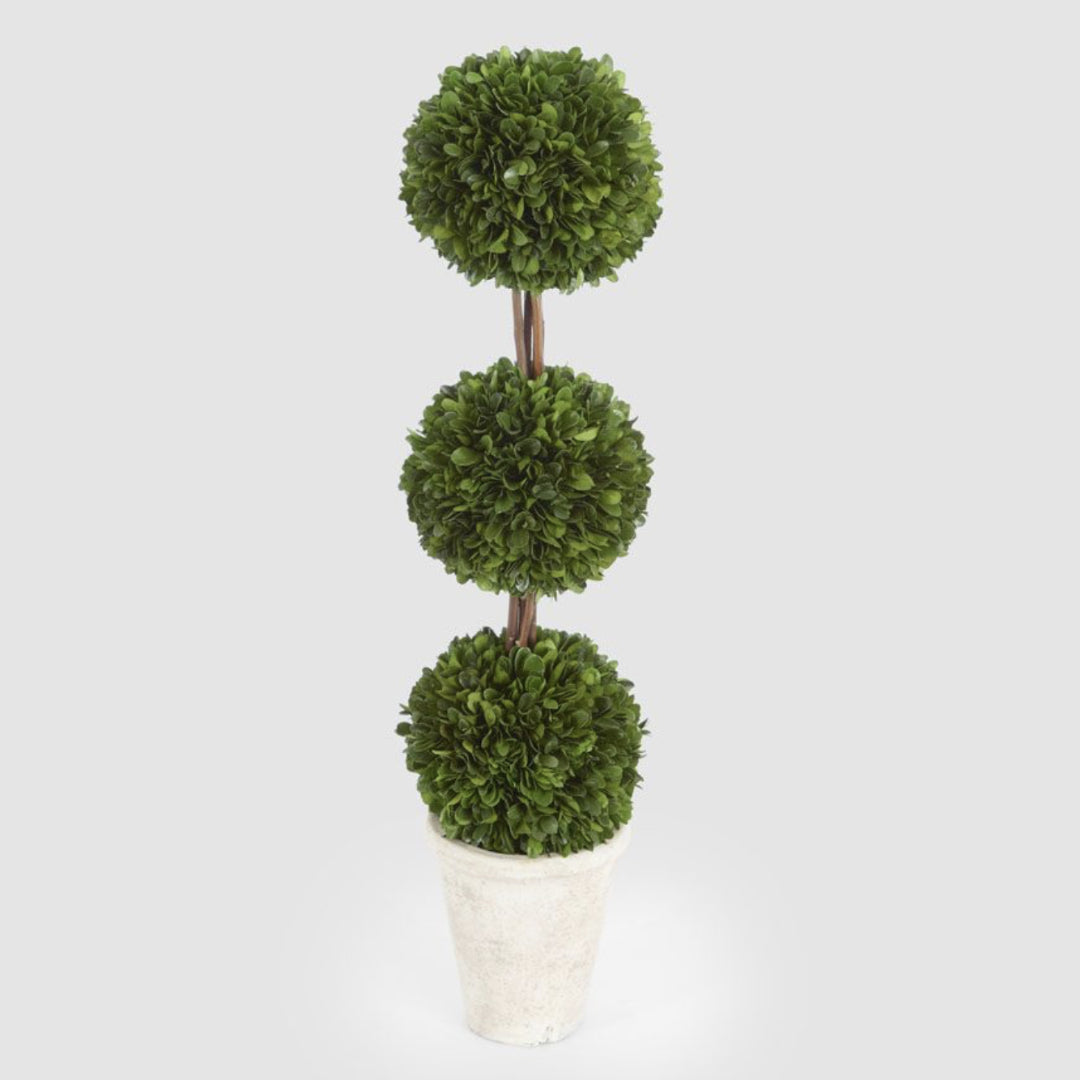 Preserved Boxwood Triple Ball Topiary 60cmH