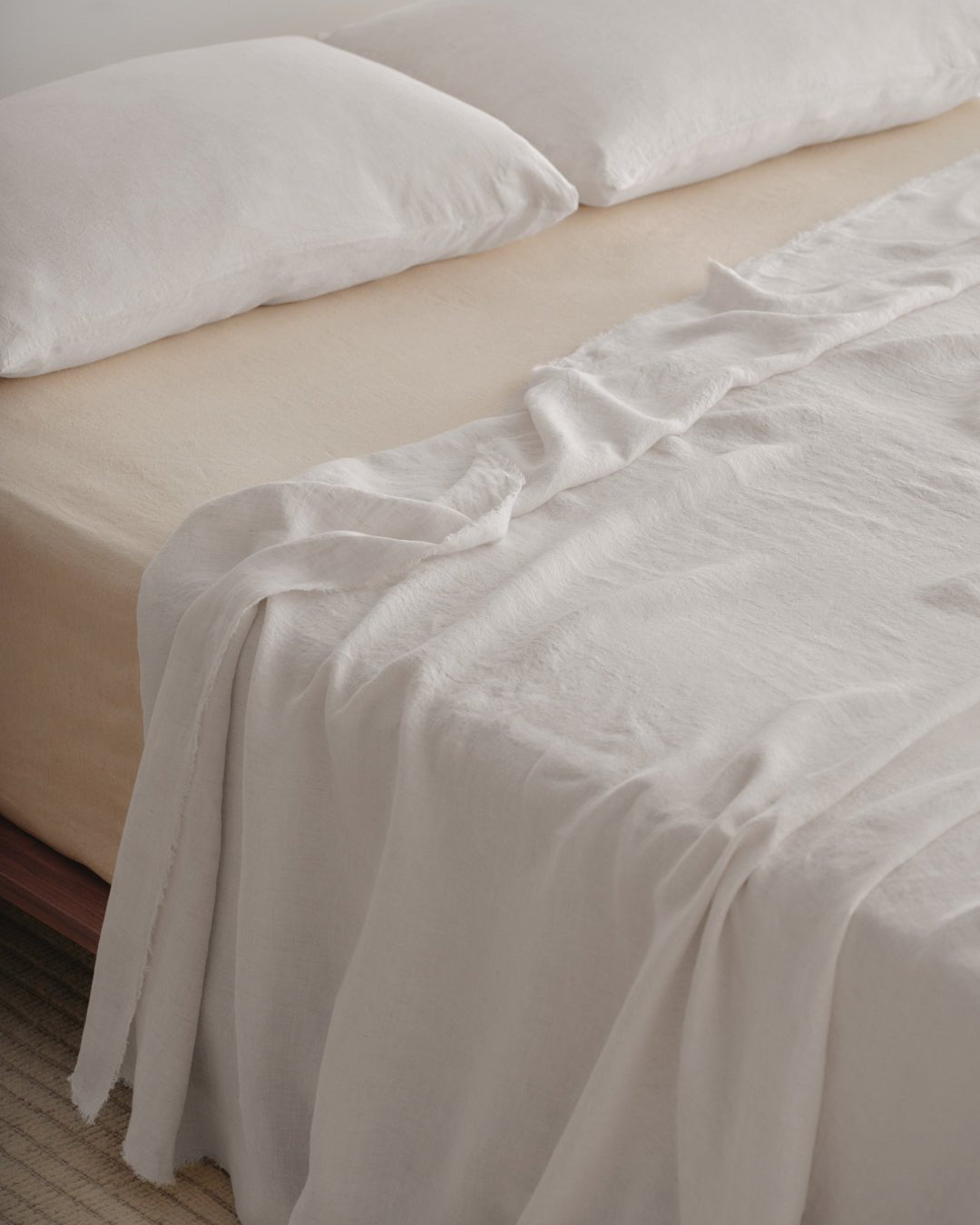 Basix Standard Pillowcase | Petra - Suzie Anderson Home