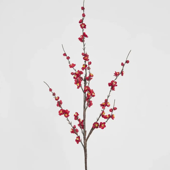 Japonica Blossom Stem | Red
