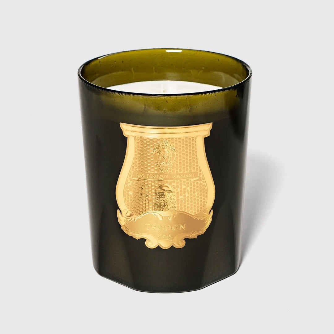 Trudon Grande Candle 3kg | Ernesto | Leather &amp; Tobacco