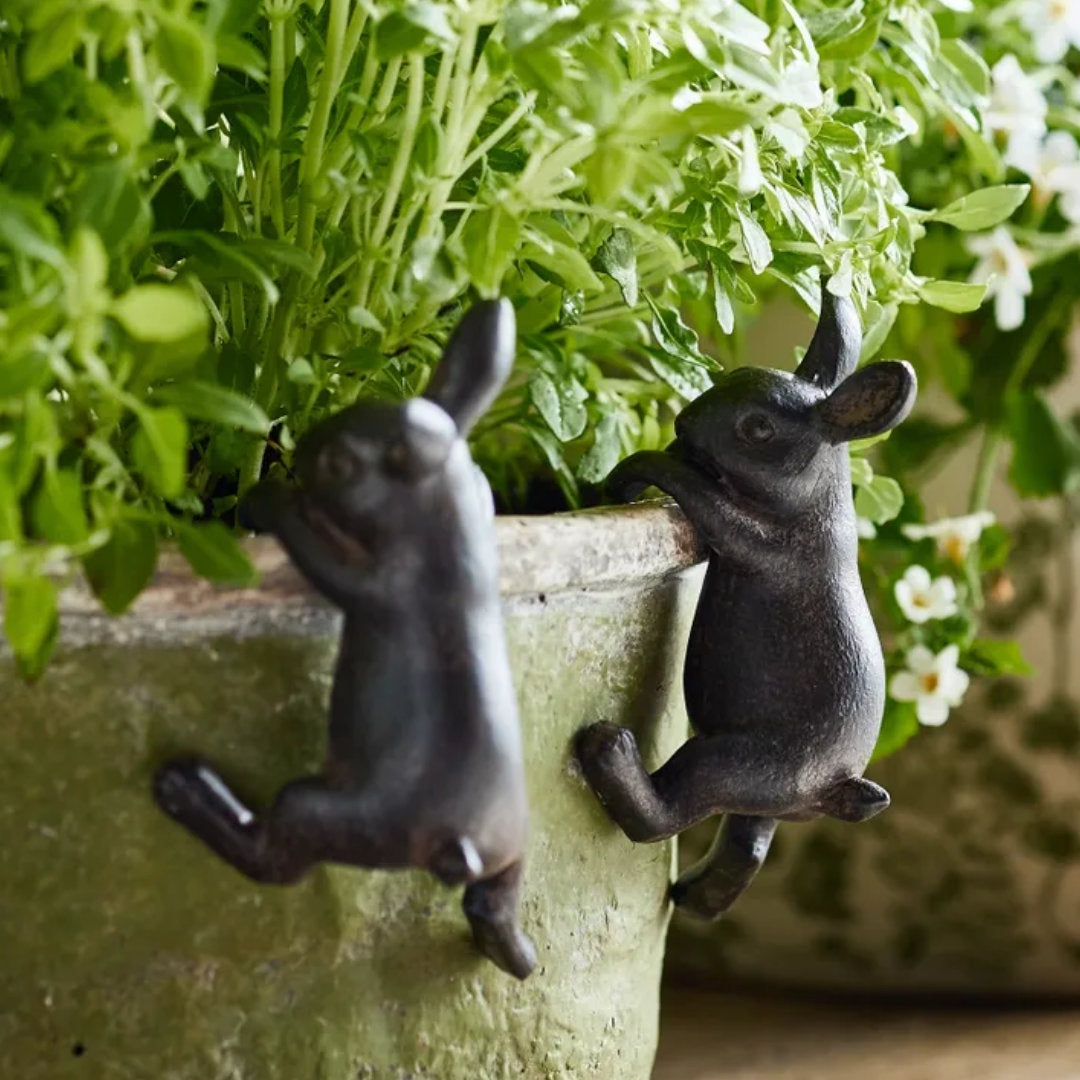 Hanging Bunny 4 Piece | Brown