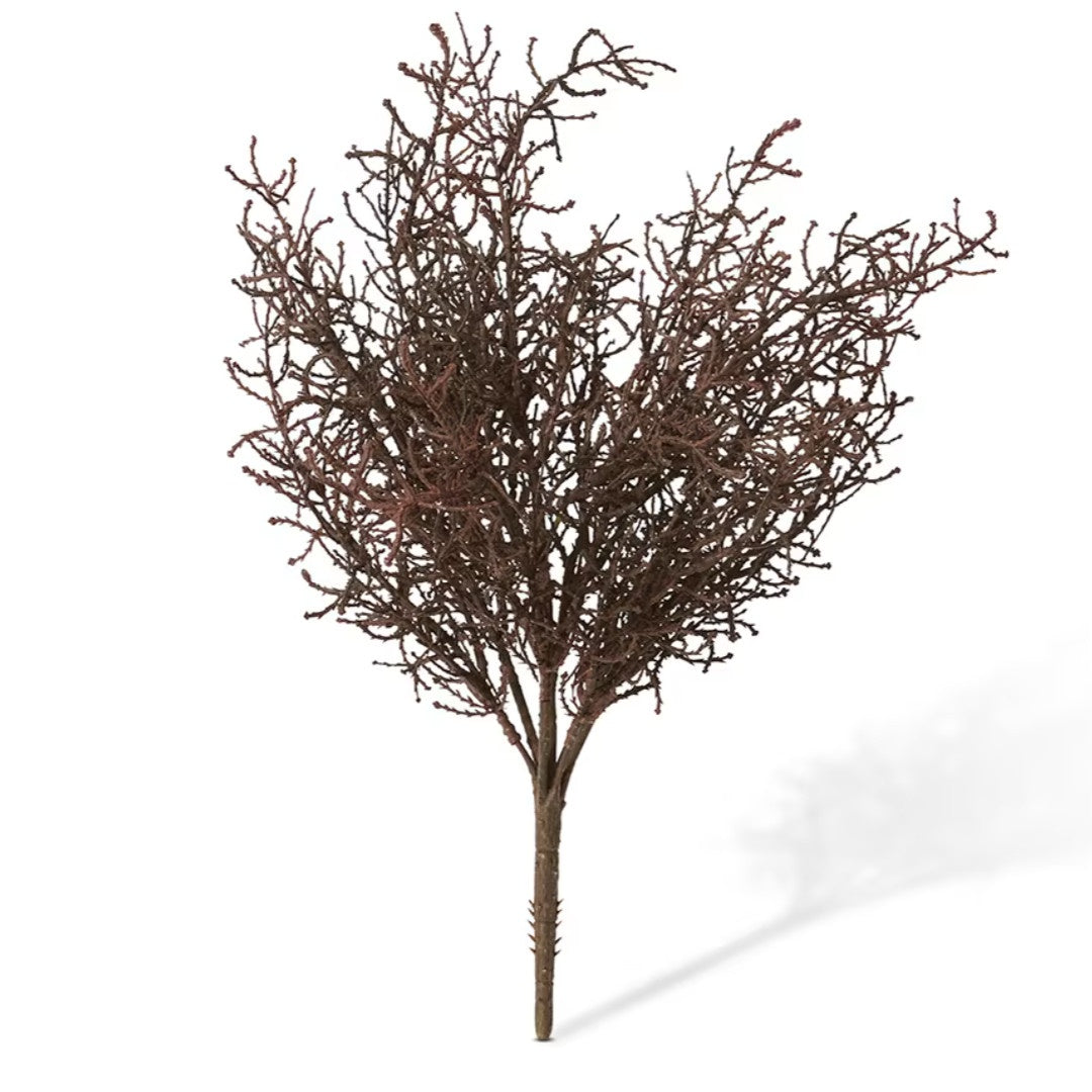 Faux Santolina Brown Bush | 40cm