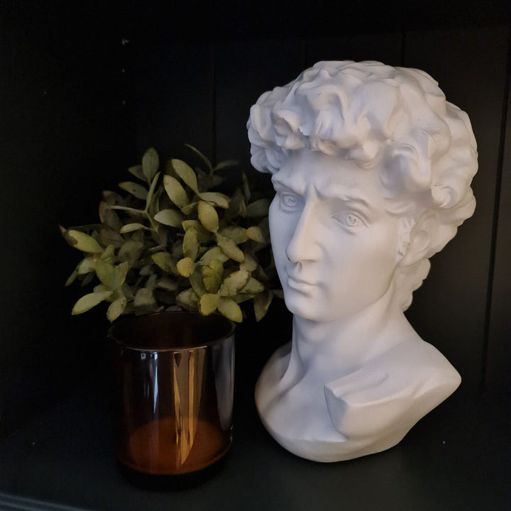 Bust of David White Sculpture | 29cmH x 20cmW x 20cmD
