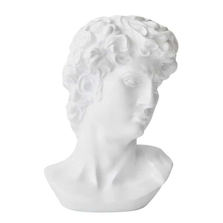 Bust of David White Sculpture | 29cmH x 20cmW x 20cmD