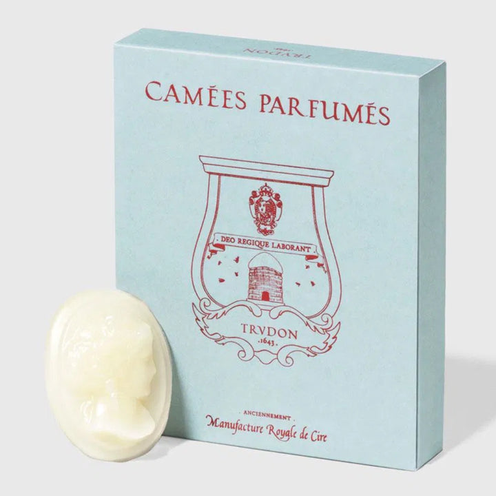 Trudon Hemera Scented Cameos | 4 pack