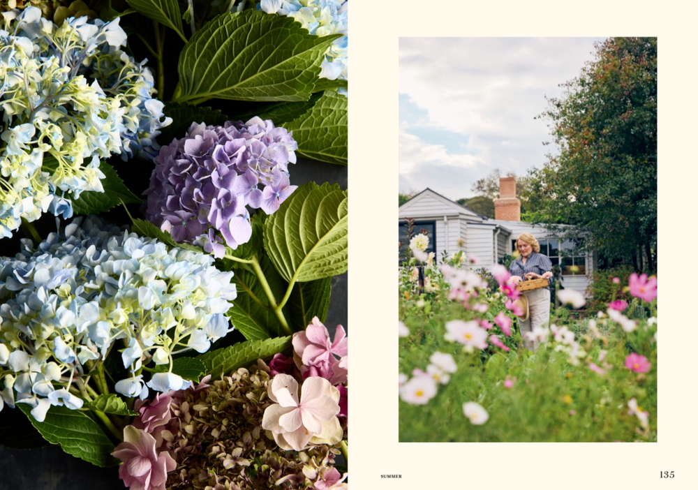 Celebrating Champagne | Sally Hillman - Suzie Anderson Home