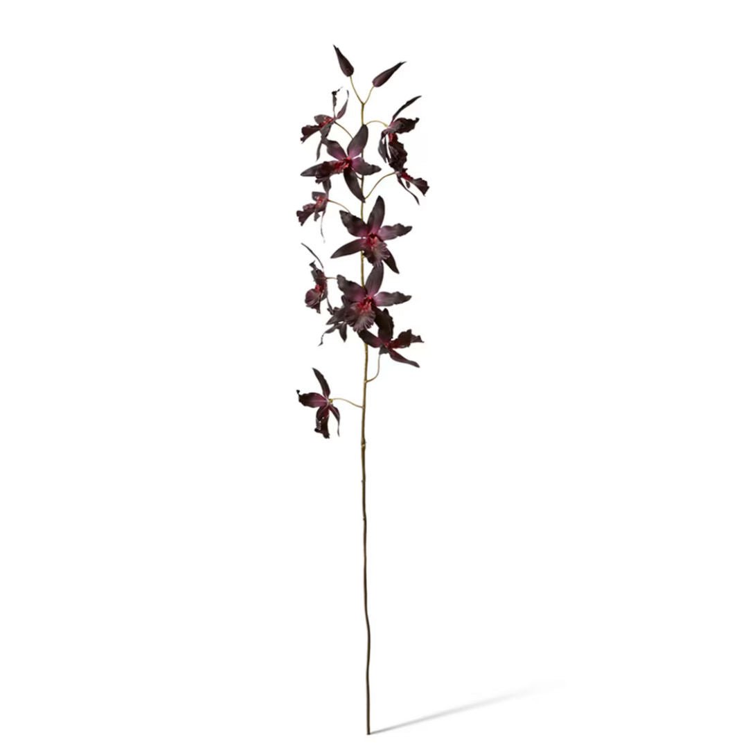 Oncidium Orchid Stem | Green/Burgundy