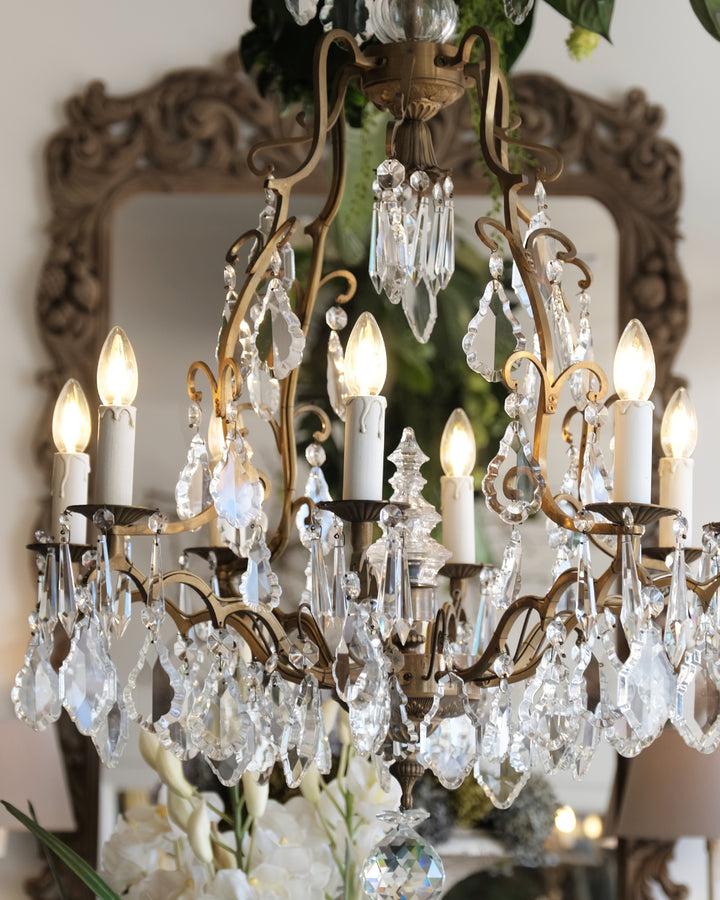 Logues Chandelier | W75 x H100cm (Shades Addtnl)