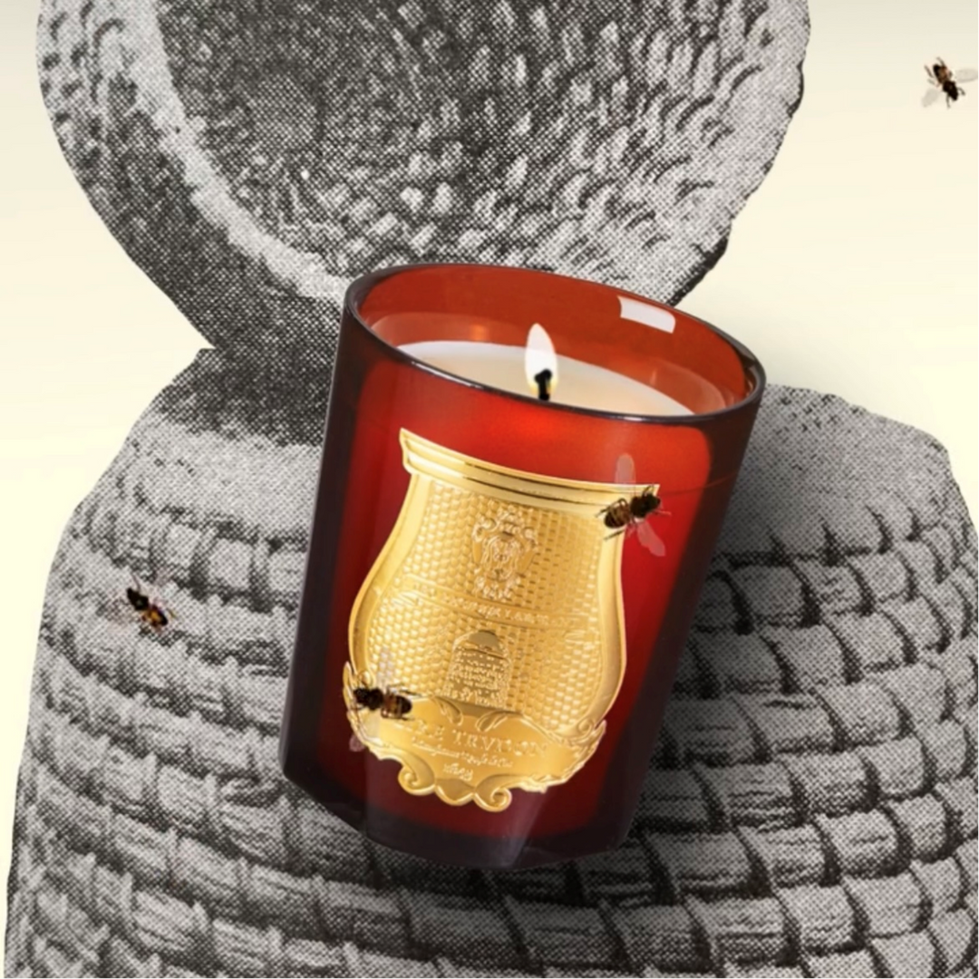 Cire Trudon Cire Candle | 270g