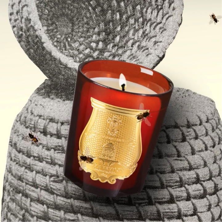 Cire Trudon Cire Candle | 270g