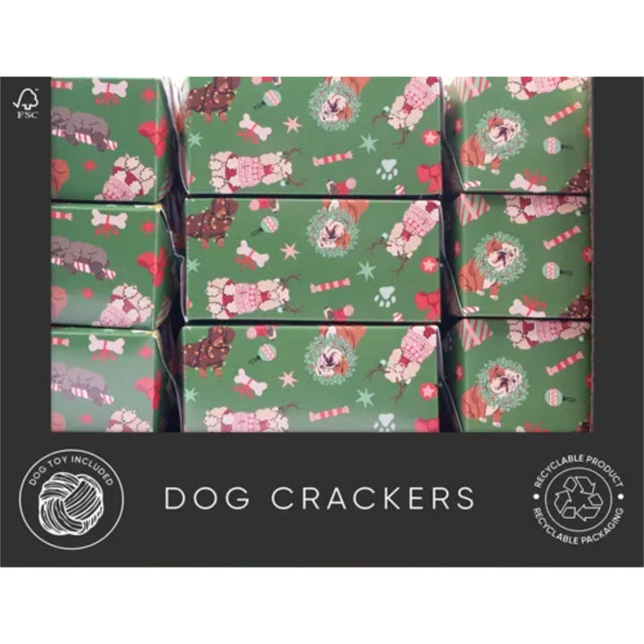 Pet Christmas Cracker
