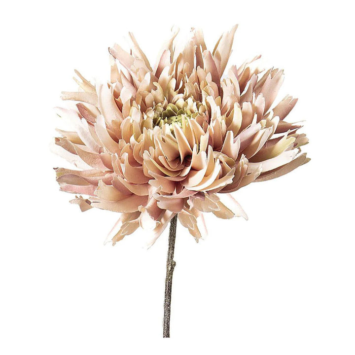 Faux Dahlia Spray | Light Pink | 56cm