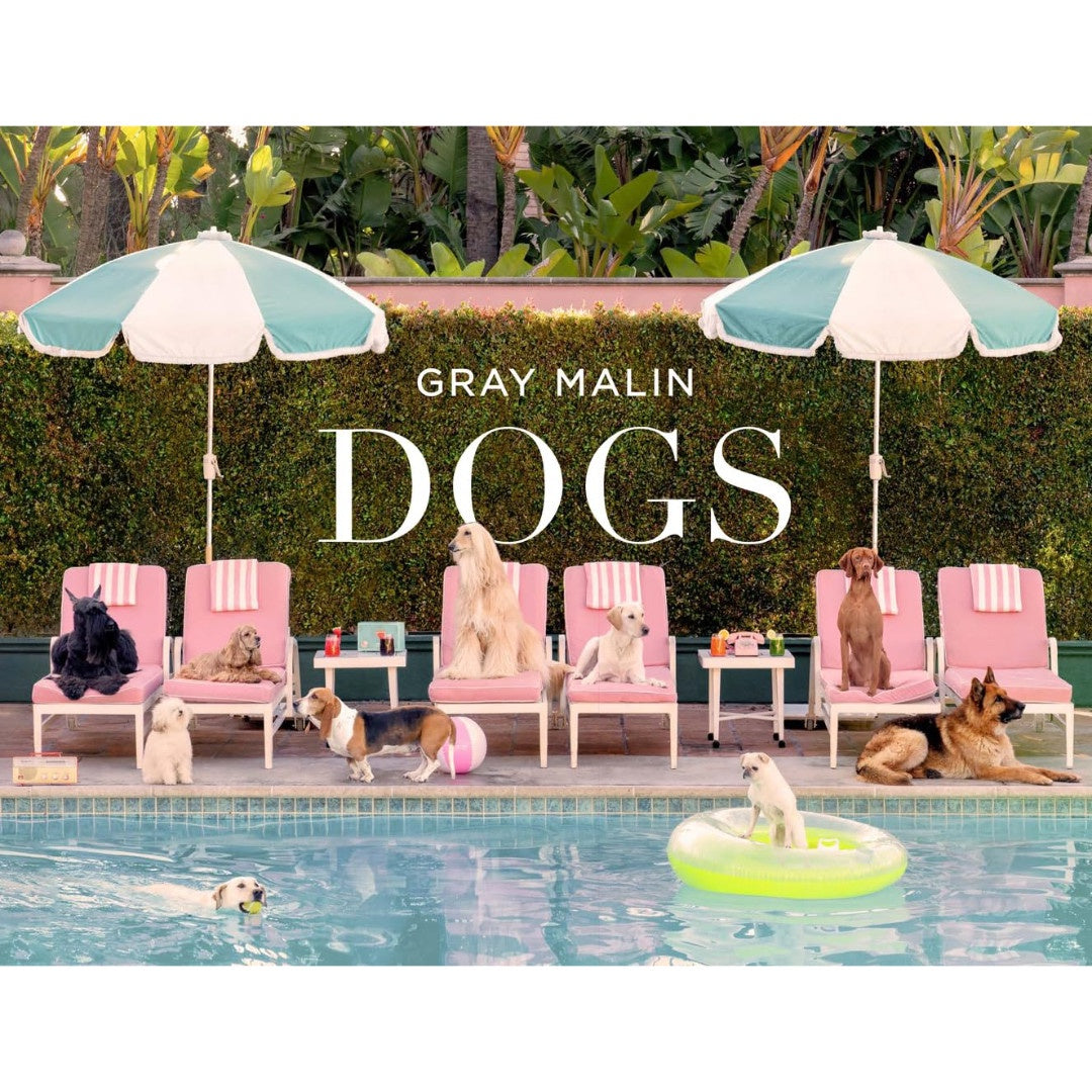 Gray Malin: Dogs | Photography Book