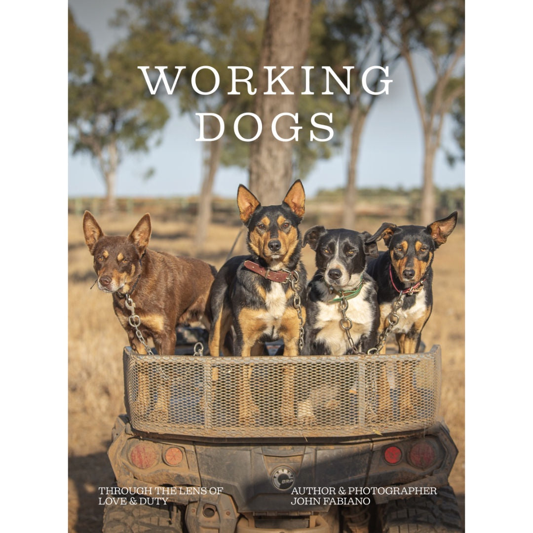 Working Dogs | Through the lens of love and duty | Book  By John Fabiano