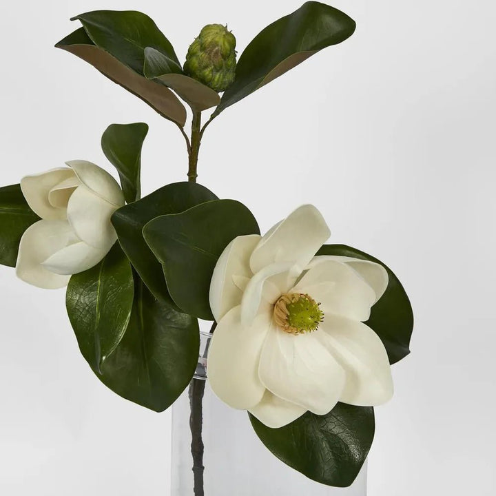 Double Head Magnolia w Bud | 45cm - Suzie Anderson Home