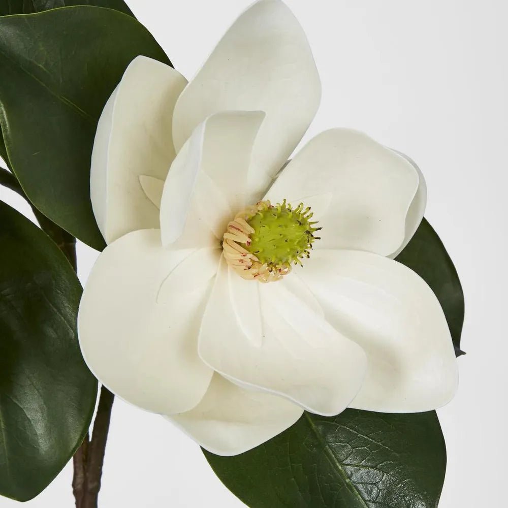 Double Head Magnolia w Bud | 45cm - Suzie Anderson Home