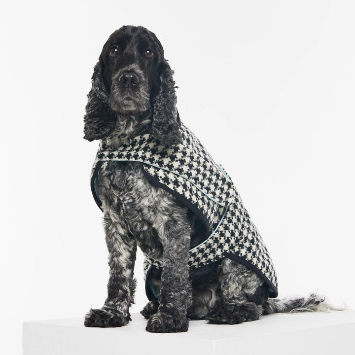 Duncan Coco Doggy Sportscoat (BOWRAL) - Suzie Anderson Home