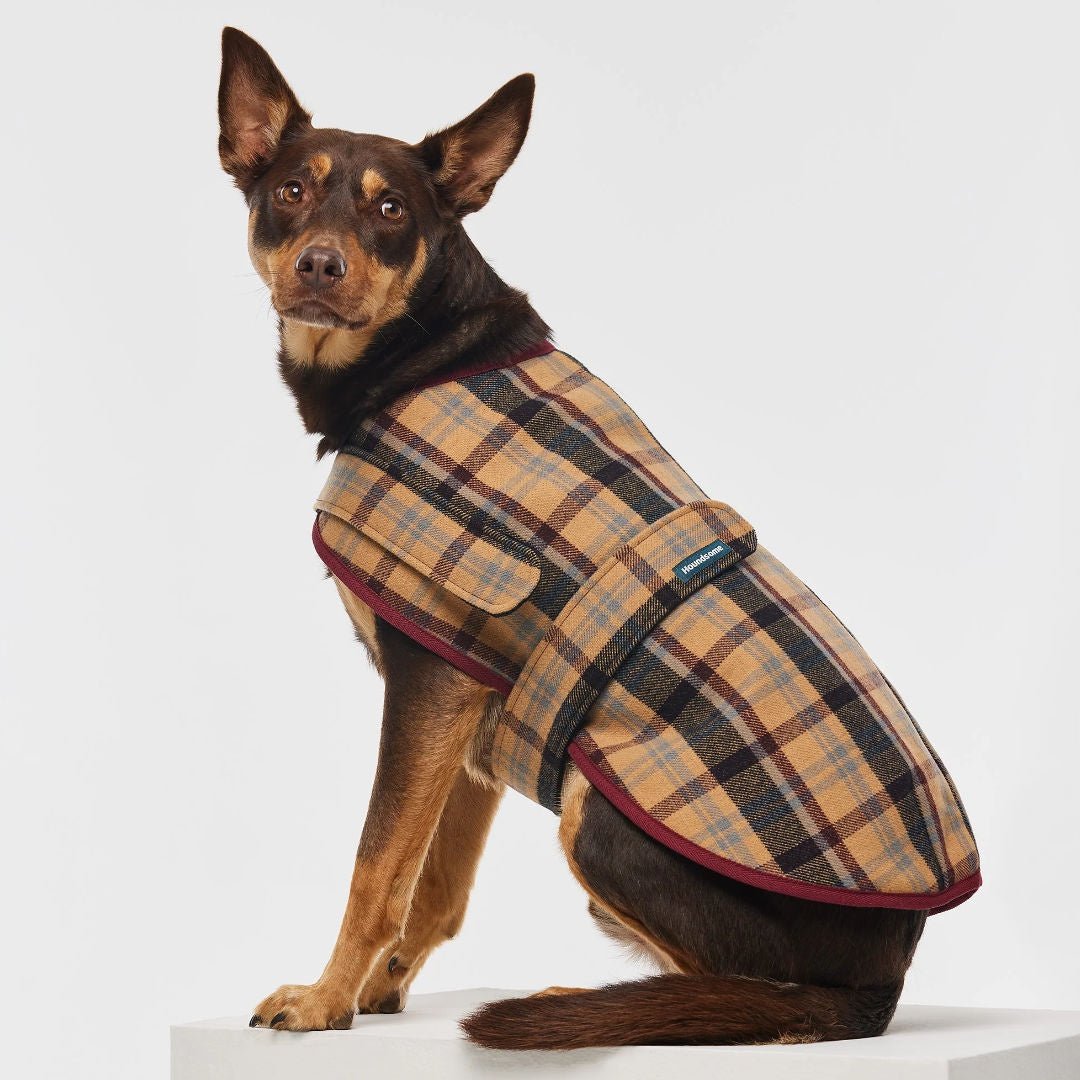 Duncan Highland Plaid Doggy Sportscoat (BOWRAL) - Suzie Anderson Home