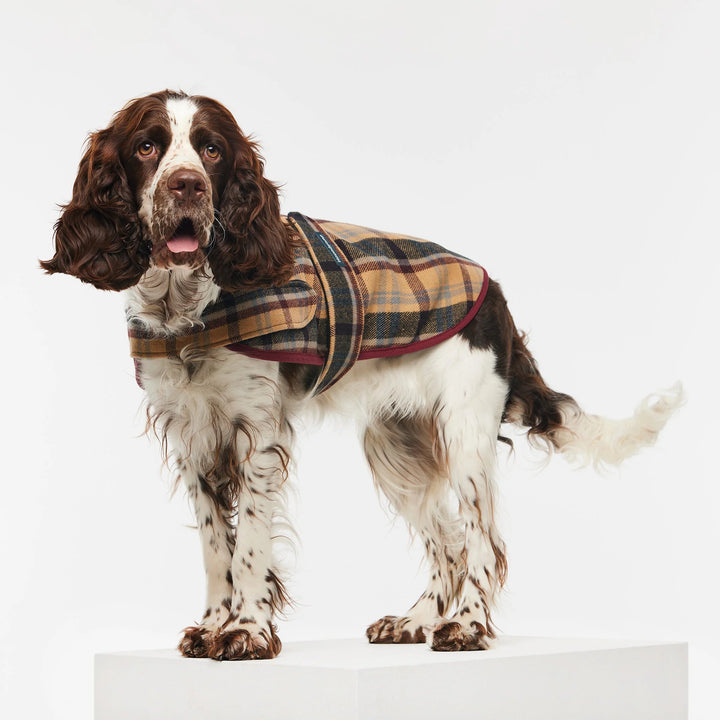 Duncan Highland Plaid Doggy Sportscoat (BOWRAL) - Suzie Anderson Home