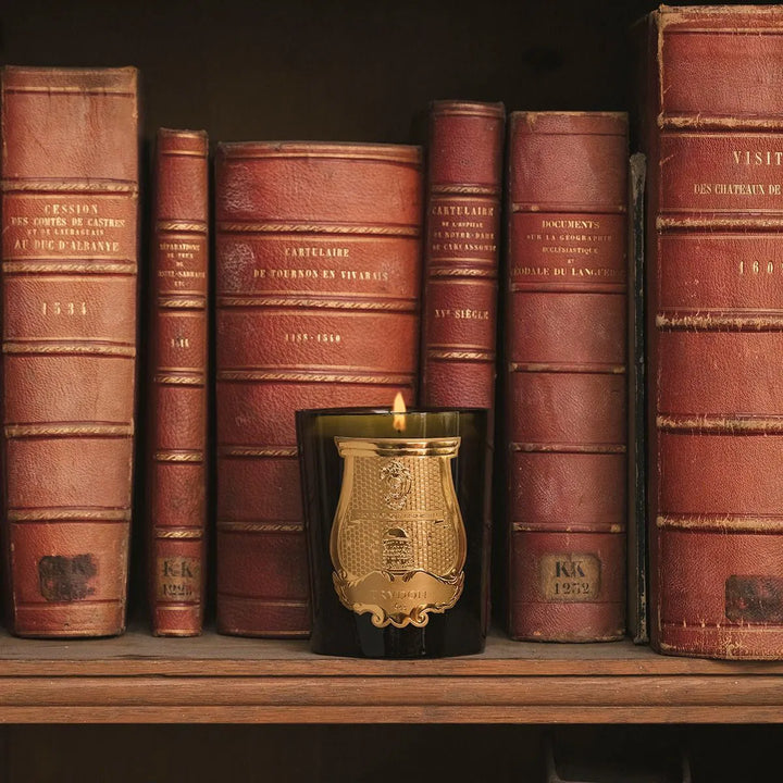 Trudon Ernesto Candle | 270g | Leather and Tobacco