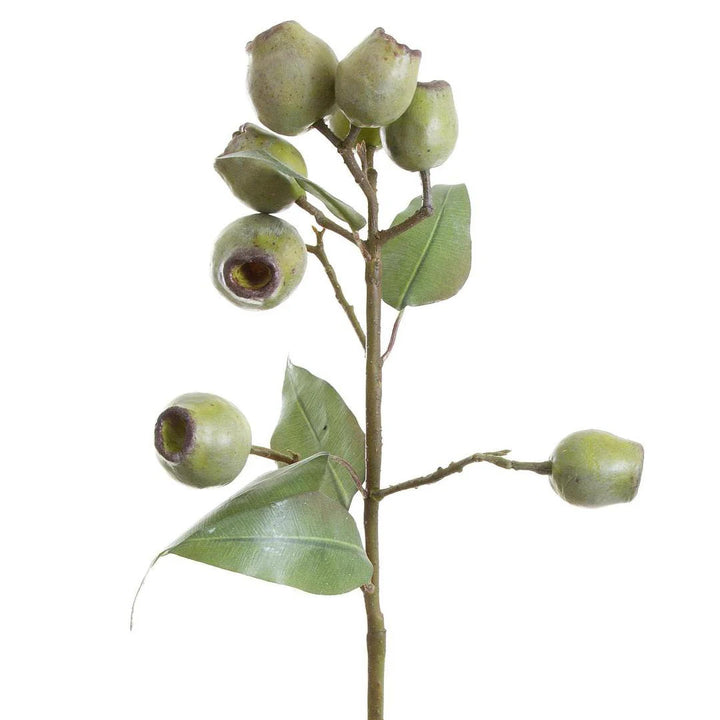 Faux Eucalyptus Gumnut Spray | Green | 67cm