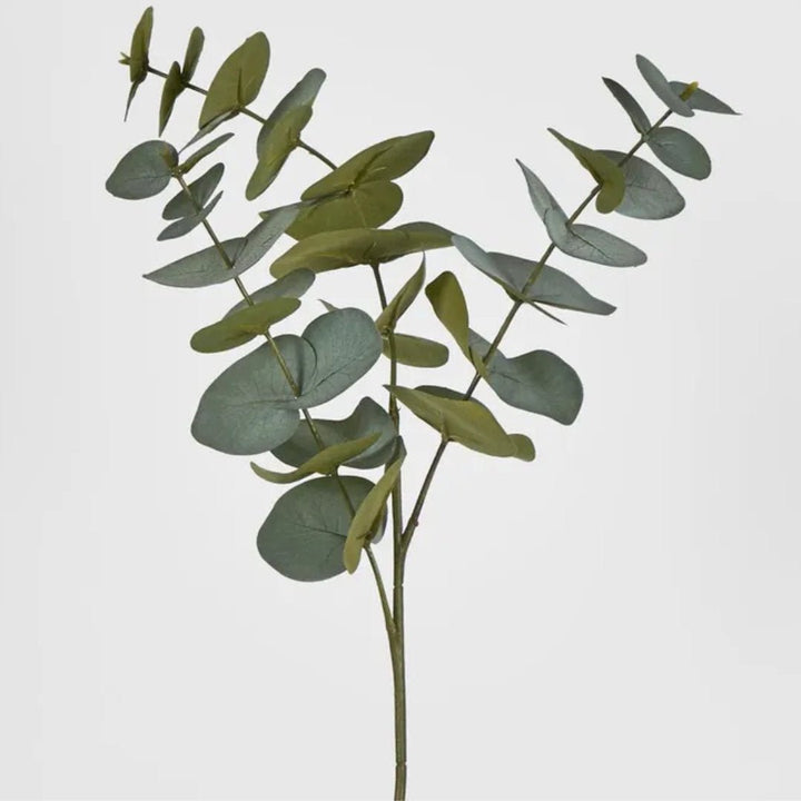 Eucalyptus Spray | Grey Green 64cm - Suzie Anderson Home