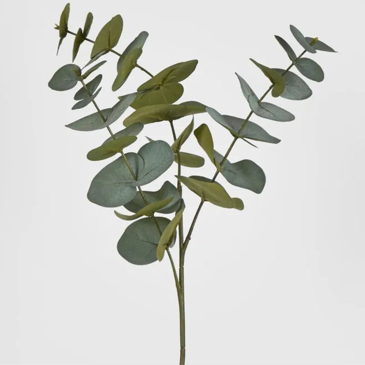 Eucalyptus Spray | Grey Green 64cm