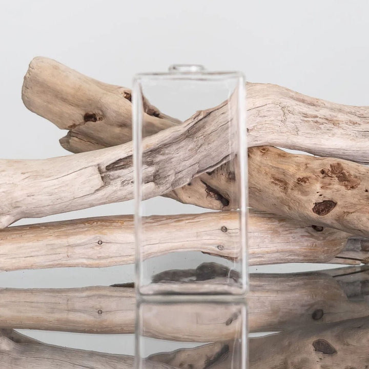 Everlasting Glass Bondi Vase - Suzie Anderson Home