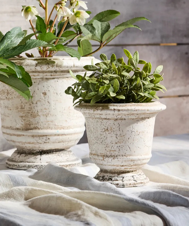Rustic White Planter Urn | Small