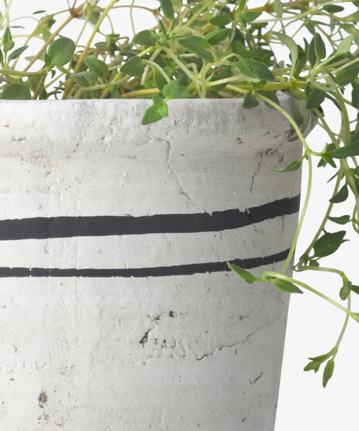 Portugal Herb Pot | Small