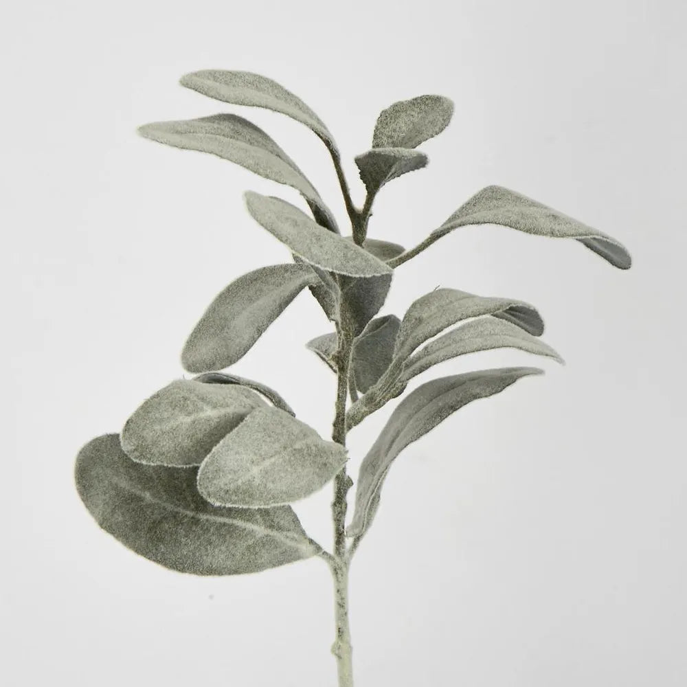 Olive Green Lambs Ear Spray | Short Stem