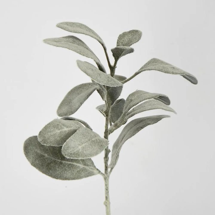 Olive Green Lambs Ear Spray | Short Stem