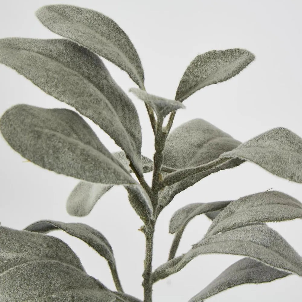 Olive Green Lambs Ear Spray | Short Stem