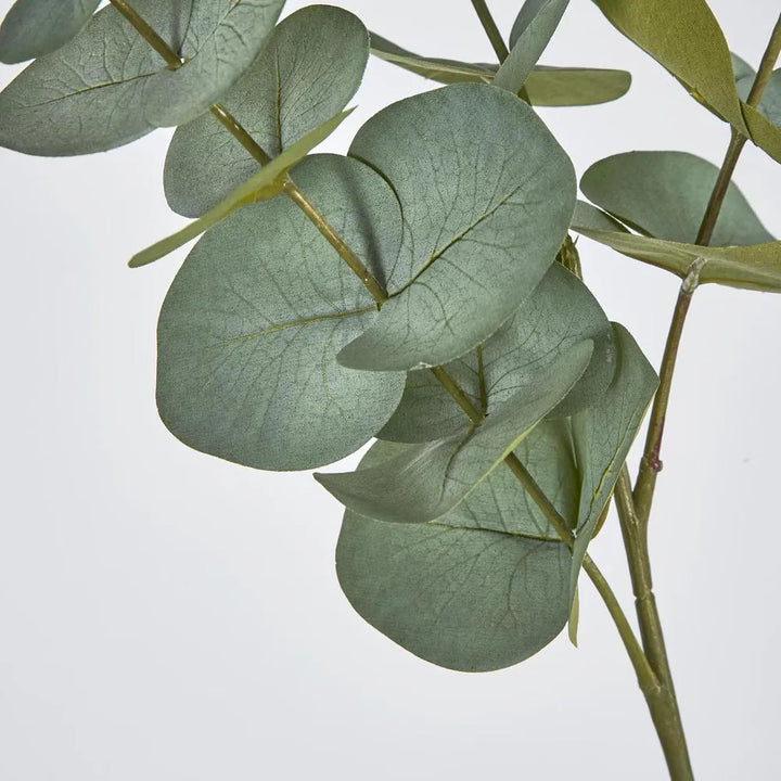 Eucalyptus Spray | Grey Green 64cm