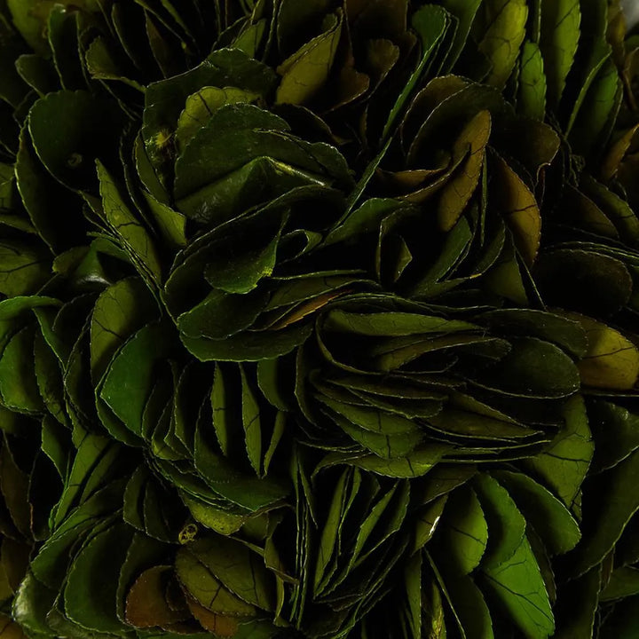 Preserved Holly Leaf Topiary in Custom Painted Pot