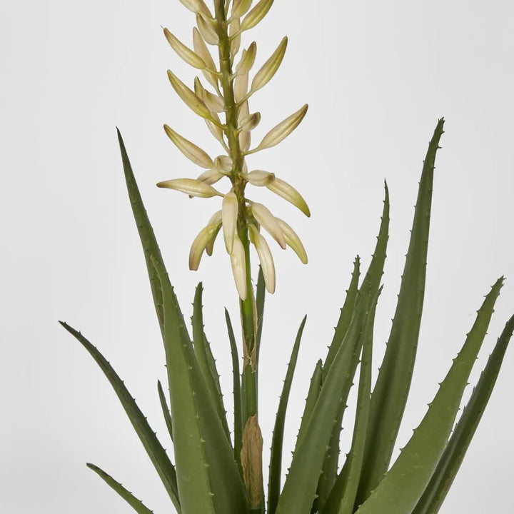 Faux Aloe Flower | Potted | 75cmH